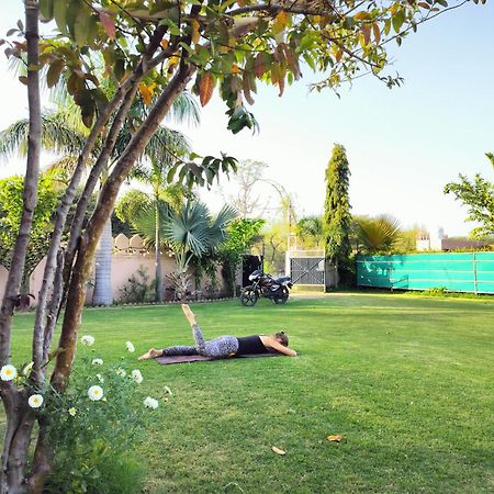 Pari Resort With Nature View Pushkar Eksteriør bilde